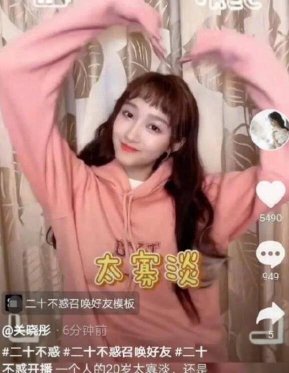 狗狗物品记忆卡